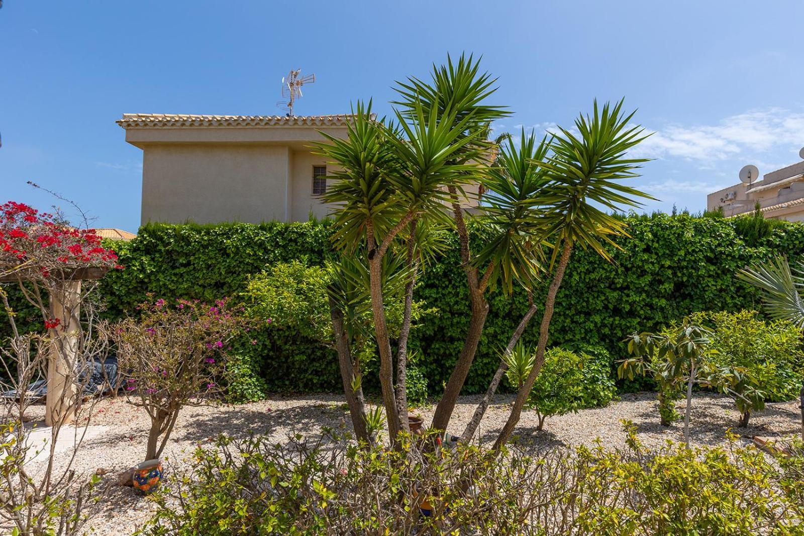 17 Vistamar Playa Flamenca Exterior foto